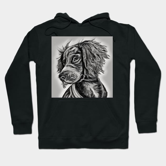 Working Cocker Spaniel Drawing Hoodie by LizTodd